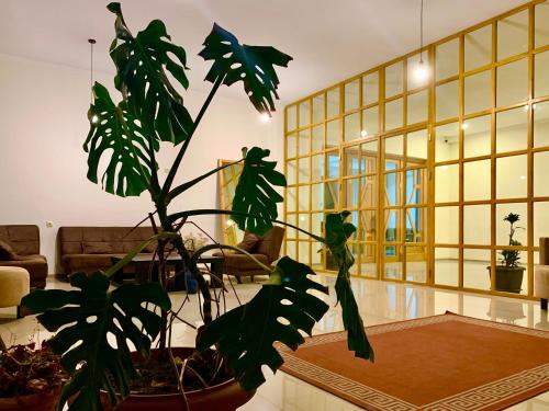 ردهة, The Wine Hotel Telavi in تيلافي ردهة, The Wine Hotel Telavi in تيلافي