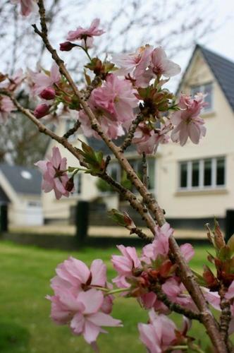 Rhenass Retreat in Drummore Rhenass Retreat in Drummore