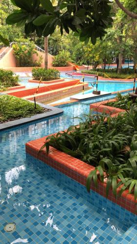 Swimming pool, Pool Garden, in unique La Habana - Hua Hin, Thailand in Khao Takiab Swimming pool, Pool Garden, in unique La Habana - Hua Hin, Thailand in Khao Takiab