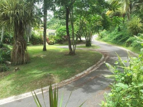 Indgang, Swim & Paint Art Retreat in Humacao Indgang, Swim & Paint Art Retreat in Humacao