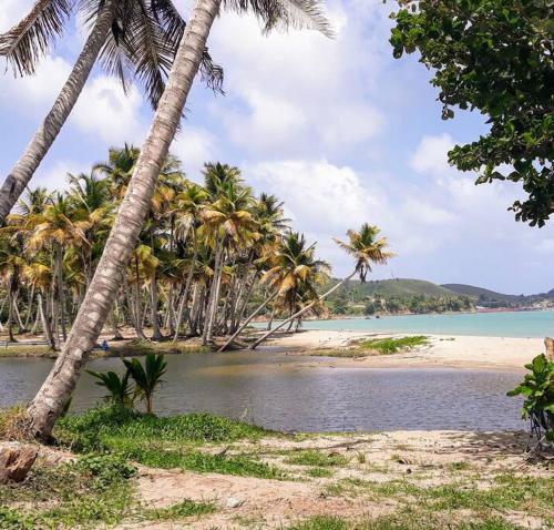 Swim & Paint Art Retreat in Humacao Swim & Paint Art Retreat in Humacao