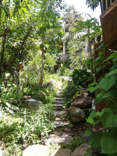 Jardin, Casa AHAU in San Marcos La Laguna Jardin, Casa AHAU in San Marcos La Laguna