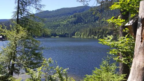 Ferienwohnung Grimmingblick - Auszeit vom Alltag in Bad Mitterndorf Ferienwohnung Grimmingblick - Auszeit vom Alltag in Bad Mitterndorf