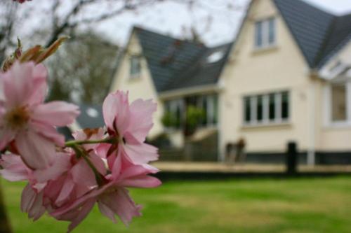 Rhenass Retreat in Drummore Rhenass Retreat in Drummore