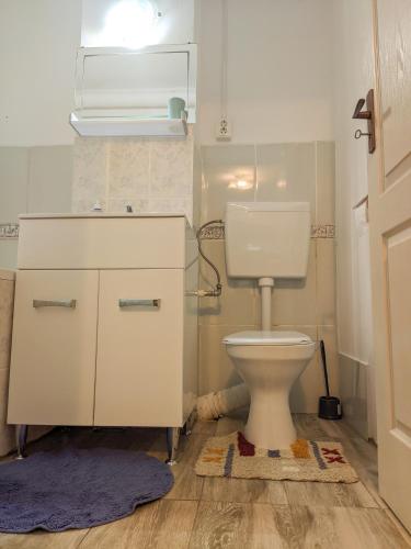 Baño, Moss's Economy Studio in Timisoara Baño, Moss's Economy Studio in Timisoara