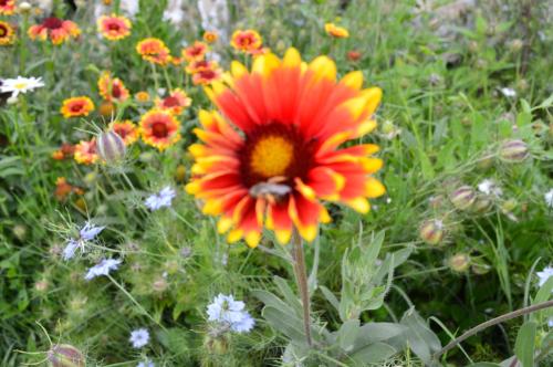 This photo about The Old House Guest House shared on HyHotel.com