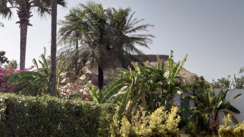 גינה, Villa Cap Ouest Piscine Grand Jardin à 2 Pas de l'Océan (Villa Cap Ouest Piscine Grand Jardin a 2 Pas de l'Ocean) in קאפ סקירינג גינה, Villa Cap Ouest Piscine Grand Jardin à 2 Pas de l'Océan (Villa Cap Ouest Piscine Grand Jardin a 2 Pas de l'Ocean) in קאפ סקירינג