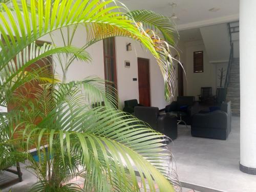 Green Ocean Bay in Arugam Bay Green Ocean Bay in Arugam Bay