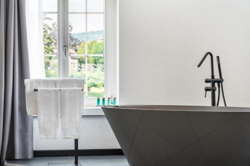 Hotel Rheingerbe in シュタイン アム ライン Hotel Rheingerbe in シュタイン アム ライン