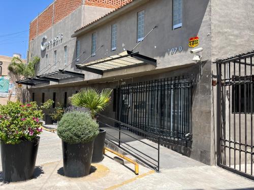 Genesis Suites / Lofts in San Luis Potosi Genesis Suites / Lofts in San Luis Potosi