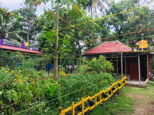 LIVIN HUB HOMESTAY in Kushalnagar LIVIN HUB HOMESTAY in Kushalnagar