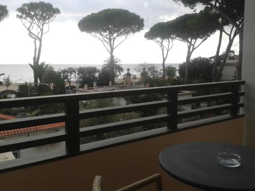 This photo about Hotel Albatros shared on HyHotel.com