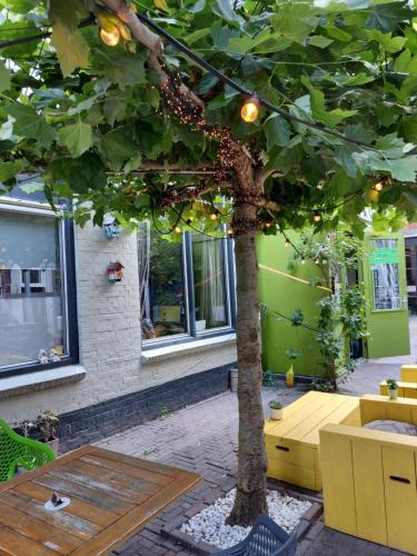 Балкон, Simplon Hostel in Гронінген Балкон, Simplon Hostel in Гронінген