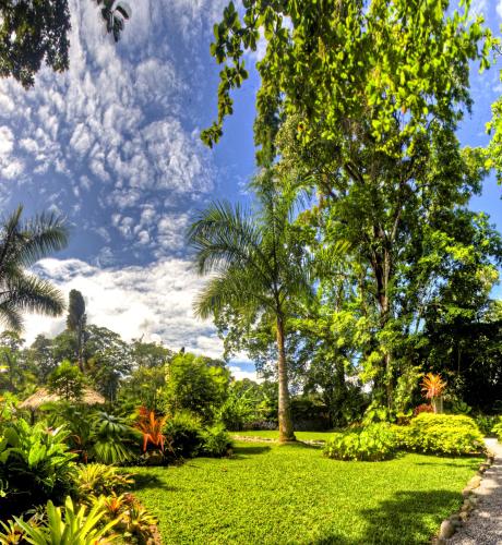 This photo about Hotel Banana Azul - Adults Only shared on HyHotel.com