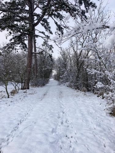 Ferienwohnung Westhof in Sankt Andra Bei Frauenkirchen Ferienwohnung Westhof in Sankt Andra Bei Frauenkirchen