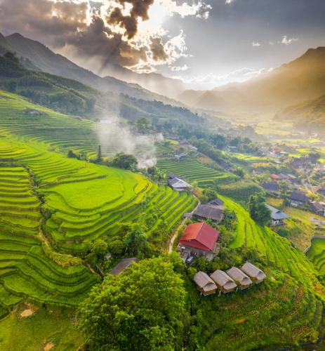 Surrounding environment