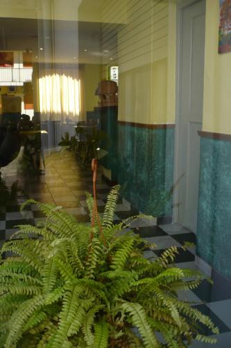 This photo about Hotel San Cayetano shared on HyHotel.com