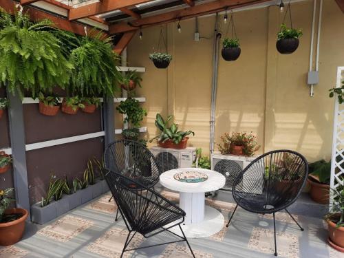 Hotel Boutique Malibu Los Suenos in 薩拉皮基舊港 Hotel Boutique Malibu Los Suenos in 薩拉皮基舊港