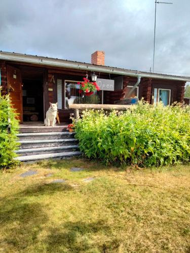 Lätasenonmajat (Latasenonmajat) in Enontekio Lätasenonmajat (Latasenonmajat) in Enontekio