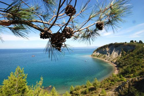 Instalaciones, Holiday Park Vile - Terme Krka in Strunjan Instalaciones, Holiday Park Vile - Terme Krka in Strunjan