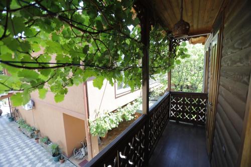 Casa de Khasia in Zugdidi Casa de Khasia in Zugdidi