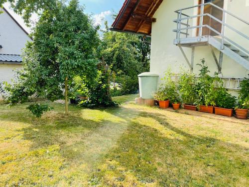Garden, Ferienappartement am Almesbach Weiden in Weiden Garden, Ferienappartement am Almesbach Weiden in Weiden