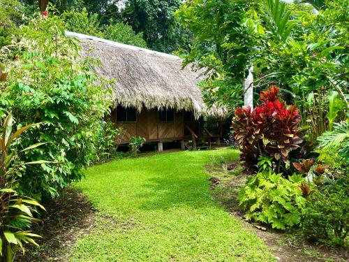 Wildlife Lodge Cahuita in Cahuita Wildlife Lodge Cahuita in Cahuita