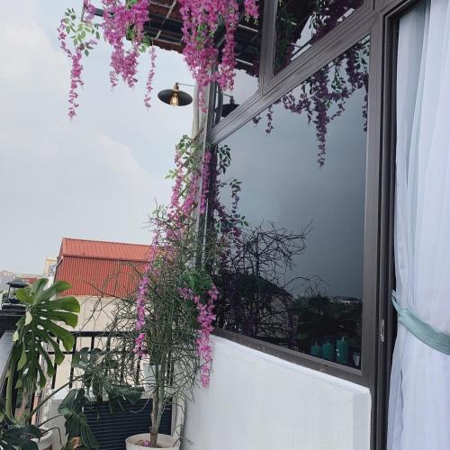 Mio Hotel in Hai Duong Mio Hotel in Hai Duong
