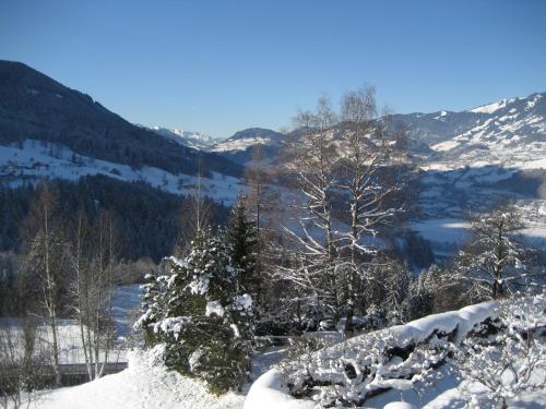 This photo about Haus Voithofer shared on HyHotel.com