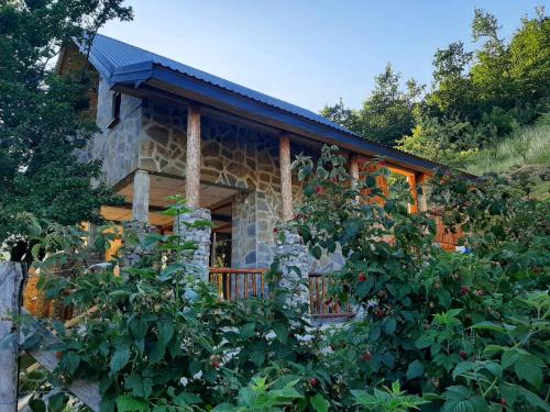 Entrance, Fern Farm Eco Studio Apartment in Mojkovac Entrance, Fern Farm Eco Studio Apartment in Mojkovac