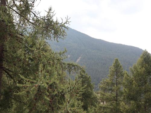 Calme Appartement 2 Pièces, 6 Personnes, Terrasse, Les Orres - FR-1-322-485 (Calme Appartement 2 Pieces, 6 Personnes, Terrasse, Les Orres - FR-1-322-485) in 梅奧蘭斯熱維勒 Calme Appartement 2 Pièces, 6 Personnes, Terrasse, Les Orres - FR-1-322-485 (Calme Appartement 2 Pieces, 6 Personnes, Terrasse, Les Orres - FR-1-322-485) in 梅奧蘭斯熱維勒