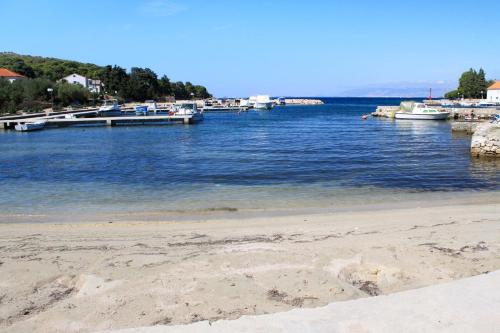 Beach, Apartments by the sea Lukoran (Ugljan) - 836 in Lukoran Beach, Apartments by the sea Lukoran (Ugljan) - 836 in Lukoran