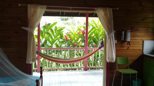 Pemandangan, 3 Rivers Eco Lodge in Rosalie Pemandangan, 3 Rivers Eco Lodge in Rosalie