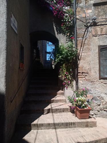 Holiday apartment Faggio in Bomarzo Holiday apartment Faggio in Bomarzo