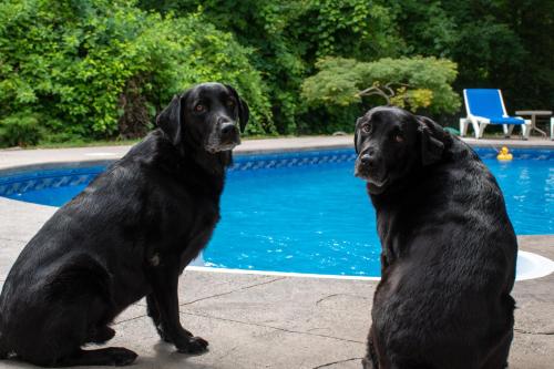 สระว่ายน้ำ, Upper Canada Coach House in ทะเลสาบไนการ่า (ON) สระว่ายน้ำ, Upper Canada Coach House in ทะเลสาบไนการ่า (ON)