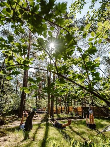 Garden, Forest Cottage with Lovely Garden & Sauna in Elburg Garden, Forest Cottage with Lovely Garden & Sauna in Elburg