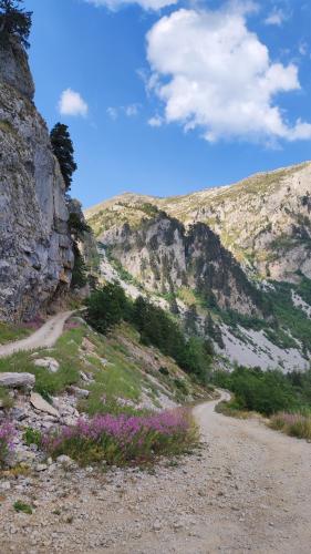 Katun Kuline in اندريجيفيكا Katun Kuline in اندريجيفيكا