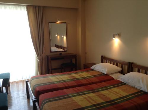 Hotel Alexandros in Volos Hotel Alexandros in Volos