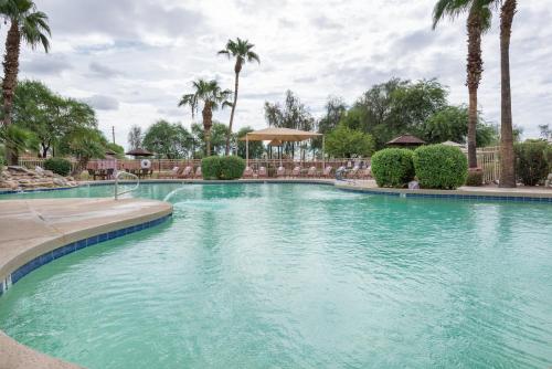 Swimming pool, Westgate Painted Mountain Golf Resort in East Mesa Swimming pool, Westgate Painted Mountain Golf Resort in East Mesa