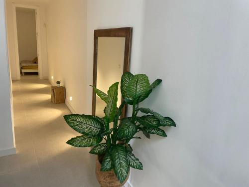 Előcsarnok, AZUL PORTMÁN – DESIGNED FOR GROUP (AZUL PORTMAN – DESIGNED FOR GROUP) in La Union Előcsarnok, AZUL PORTMÁN – DESIGNED FOR GROUP (AZUL PORTMAN – DESIGNED FOR GROUP) in La Union