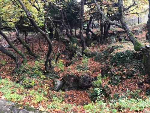 주변 환경, Το σπιτάκι του Σπύρου (Το σπιτακι του Σπυρου) in 파블리아니 주변 환경, Το σπιτάκι του Σπύρου (Το σπιτακι του Σπυρου) in 파블리아니