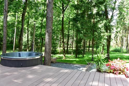 Forest relax in อวิเซียเนย์ Forest relax in อวิเซียเนย์