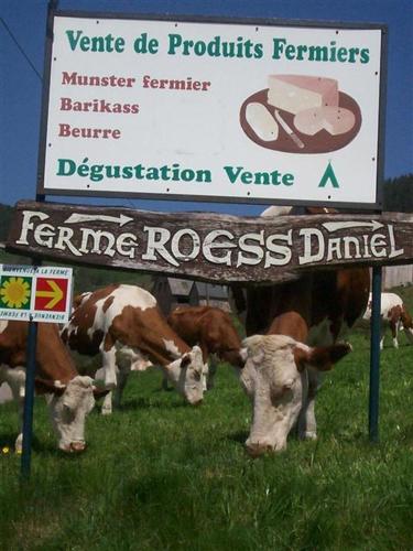 This photo about Chez Chantal et Dany shared on HyHotel.com