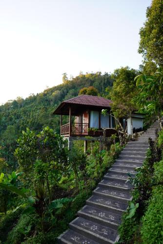 Garden, Munduk V View House in Munduk Garden, Munduk V View House in Munduk
