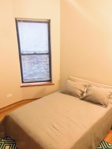 3BD/2BA in Historic Hyde Park Neighborhood w/ Parking Near University of Chicago in Woodlawn 3BD/2BA in Historic Hyde Park Neighborhood w/ Parking Near University of Chicago in Woodlawn