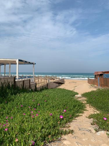 maison du bonheur en bord de mer avec piscine in 사이디아 maison du bonheur en bord de mer avec piscine in 사이디아