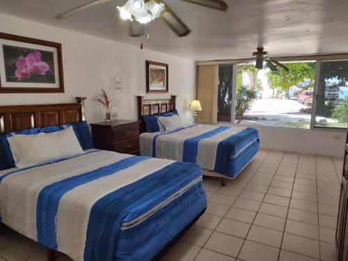 Freedom Shores "La Gringa" Hotel - Universally Designed in Agrarista Freedom Shores "La Gringa" Hotel - Universally Designed in Agrarista