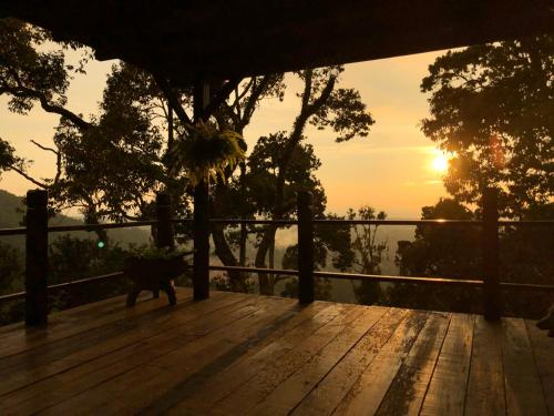 View, Bao Sheng Durian Farm in Teluk Bahang View, Bao Sheng Durian Farm in Teluk Bahang