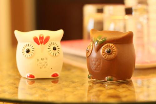 This photo about Owl House shared on HyHotel.com