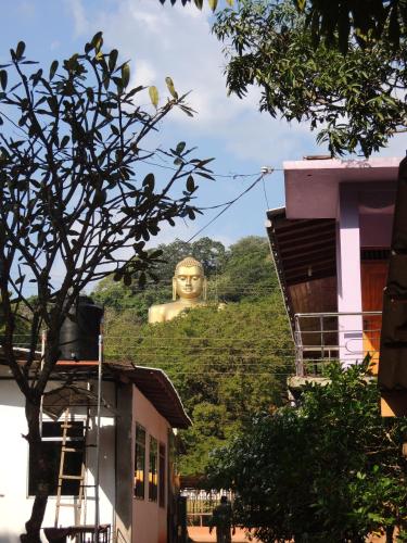 Oasis Tourist Welfare Center